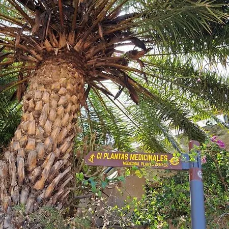 Casa Santana Segura Tejeda (Gran Canaria)