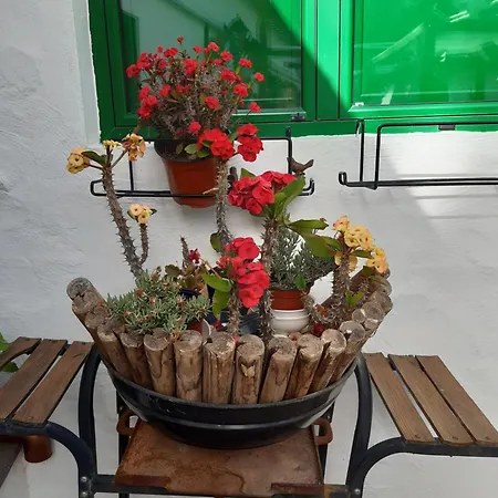 Casa Santana Segura * Tejeda (Gran Canaria)