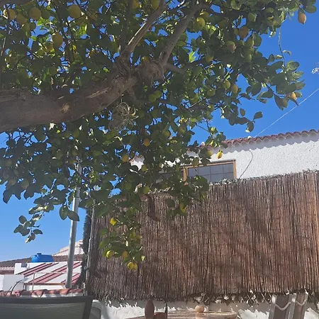 Casa Santana Segura * Tejeda (Gran Canaria)
