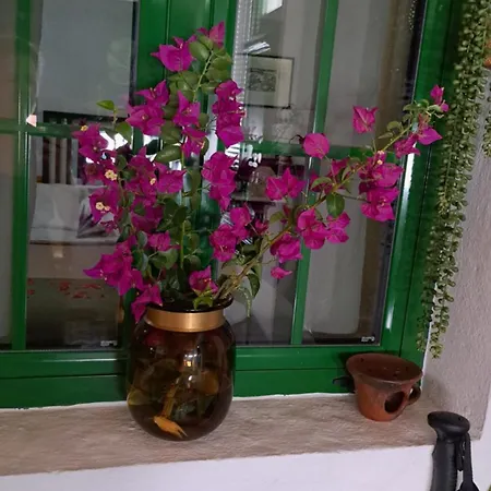 Casa Santana Segura * Tejeda (Gran Canaria)